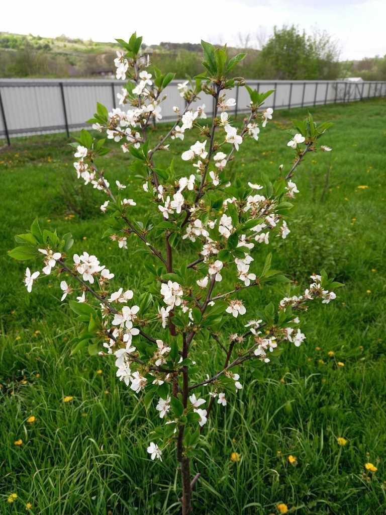 Місце, де ваші ідеї оживуть! | Приват житло