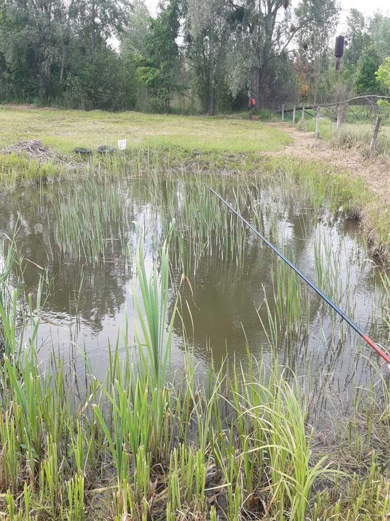 Місце, де ваші ідеї оживуть! | Приват житло