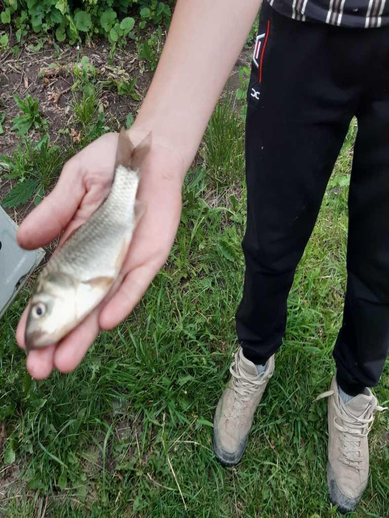 Місце, де ваші ідеї оживуть! | Приват житло