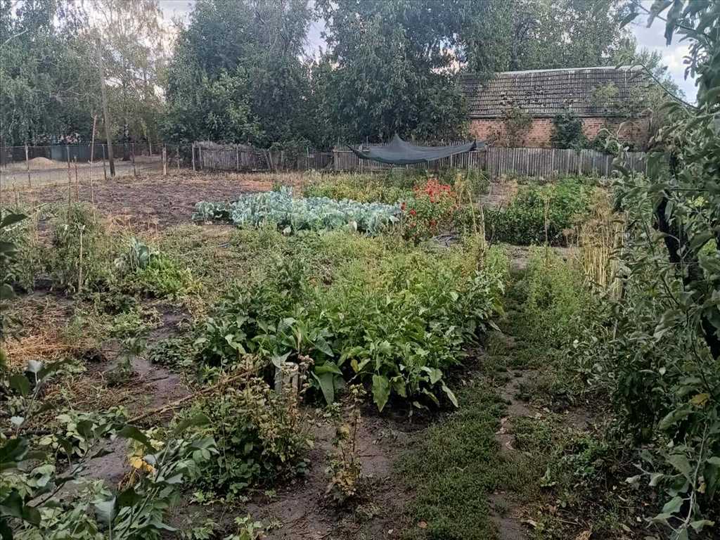 Бюджетна пропозиція для двох родин в Новосанжарському районі | Приват житло