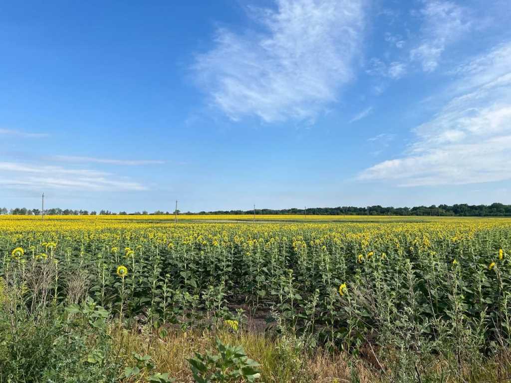 Продається земельна ділянка площею 15 соток під забудову | Приват житло