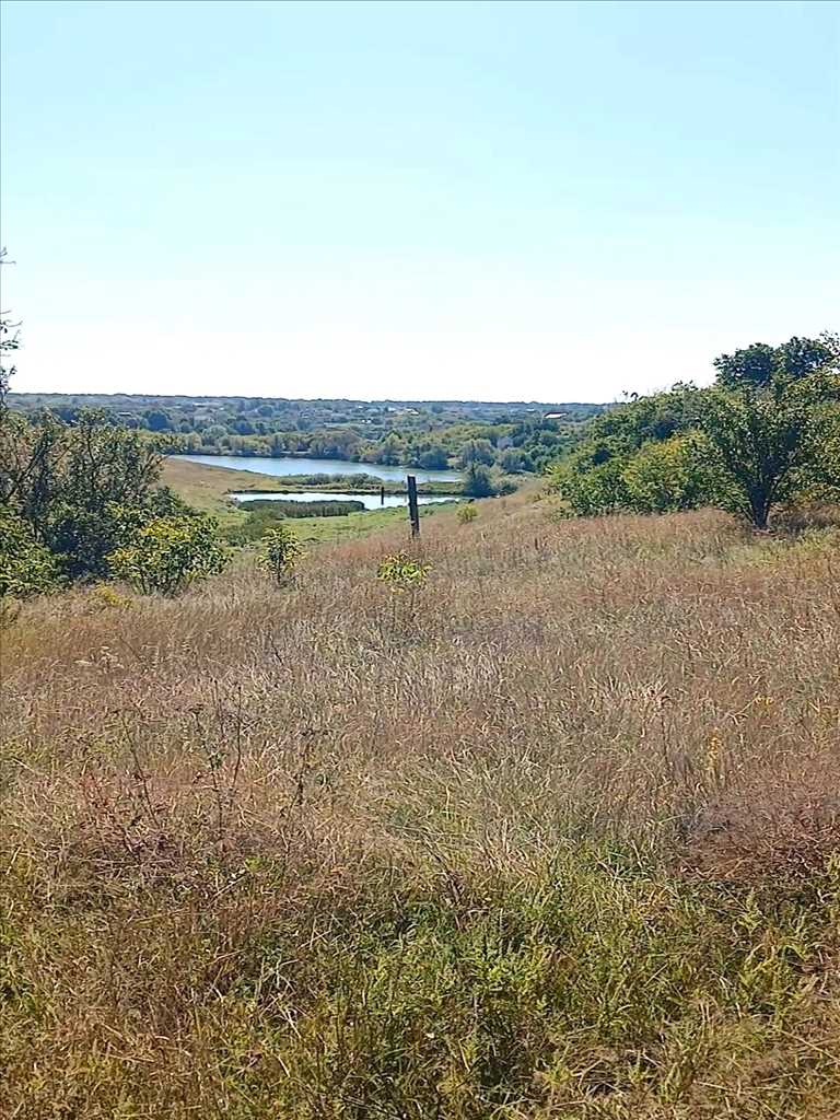 Ділянка в Гожулях 68 соток | Приват житло