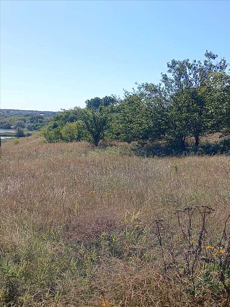 Ділянка в Гожулях 68 соток | Приват житло