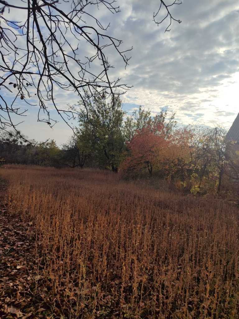 Земельна ділянка з будинком під ремонт в Жуках! | Приват житло