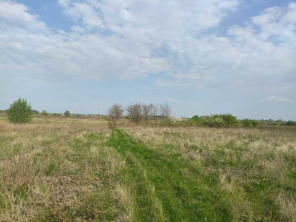 Продам земельну ділянку 15 соток у селі Ковалівка! | Приват житло