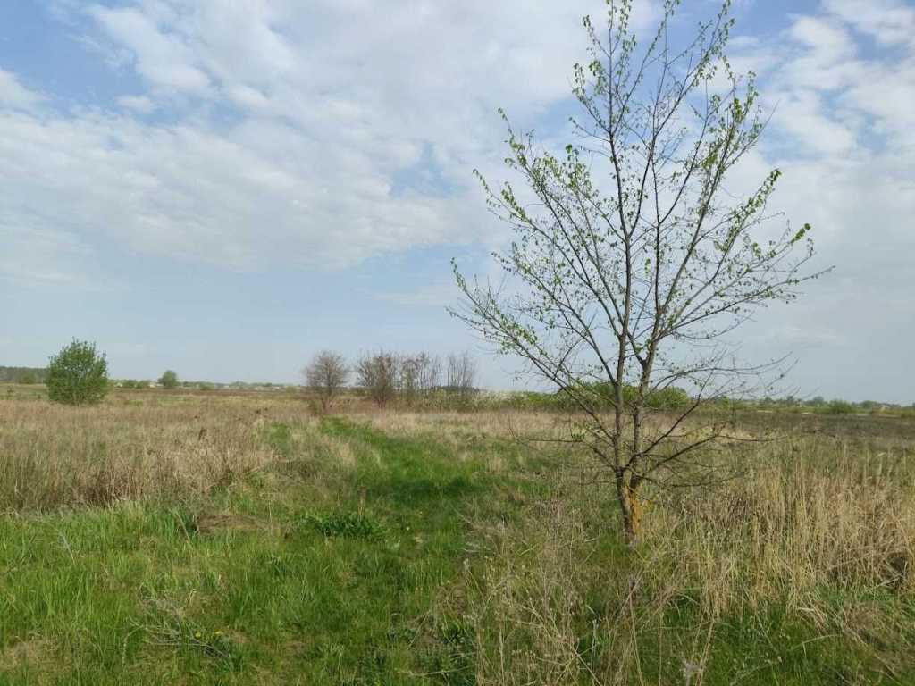 Продам земельну ділянку 15 соток у селі Ковалівка! | Приват житло