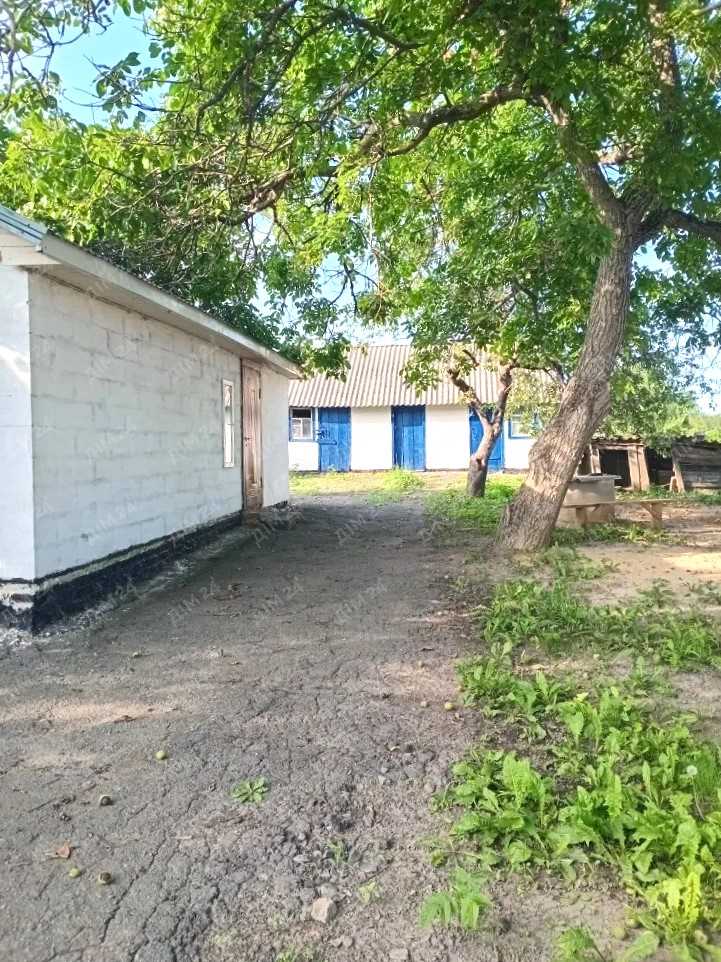 Будинок у селі Великі Будища, поруч із Диканькою | Приват житло