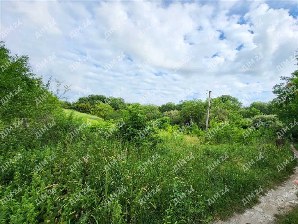 Ділянка з будинком під знесення, с. Патлаївка | Приват житло