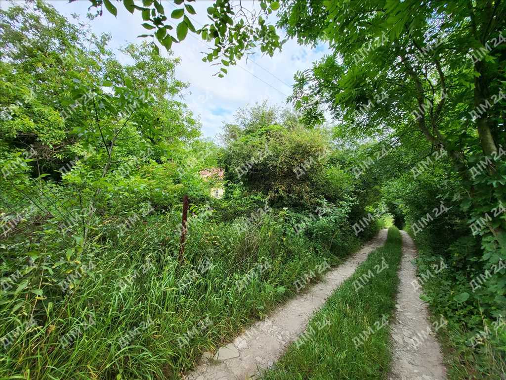 Ділянка з будинком під знесення, с. Патлаївка | Приват житло