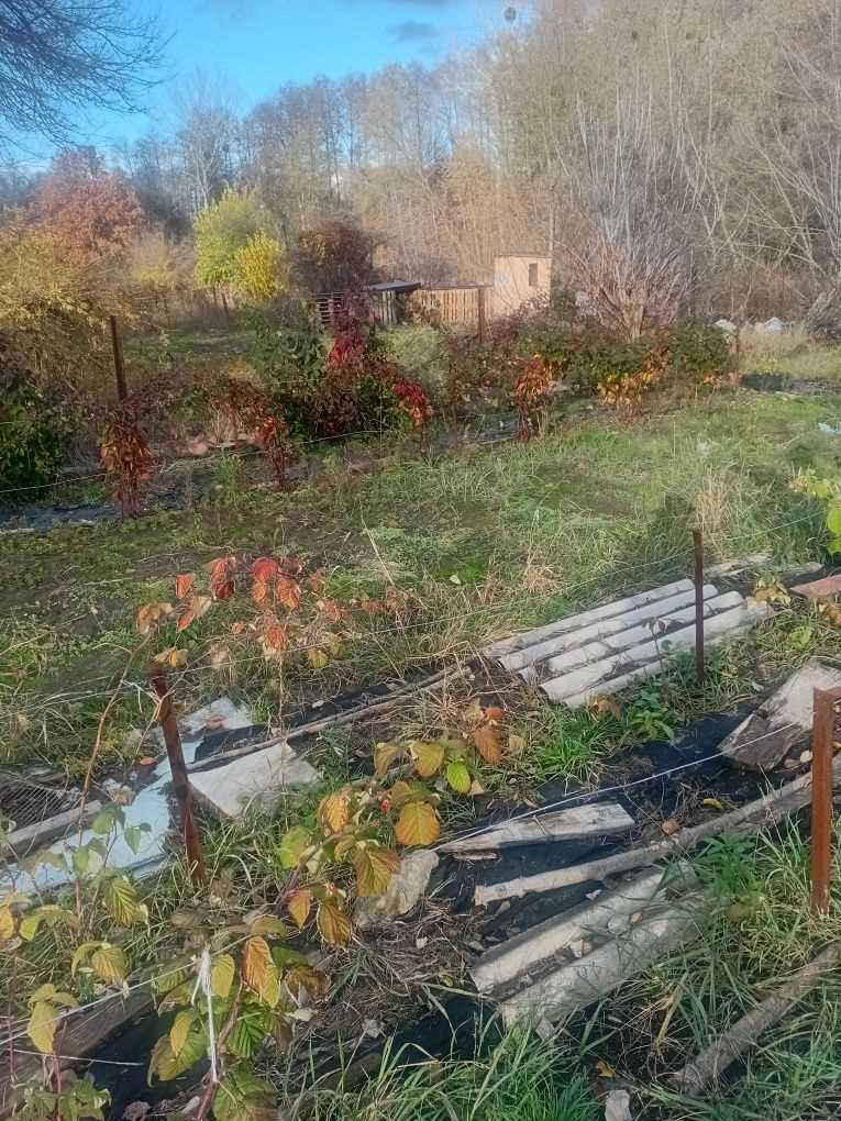 Продаж ділянки під дачу | Приват житло