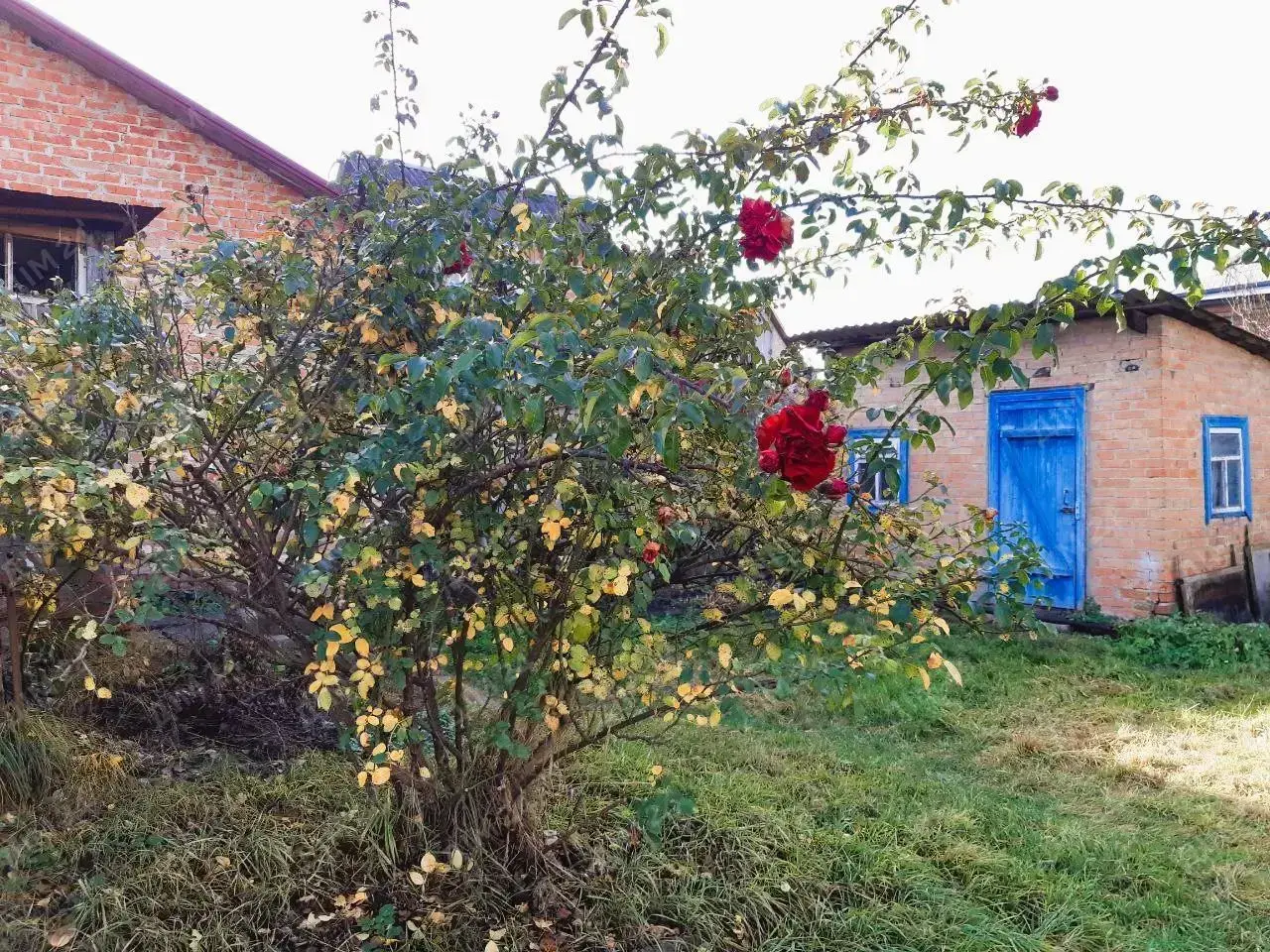  Ідеальна локація на Зеленому острові. | Приват житло