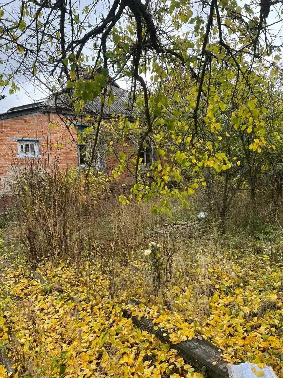 Будинок у Нових Санжарах. | Приват житло