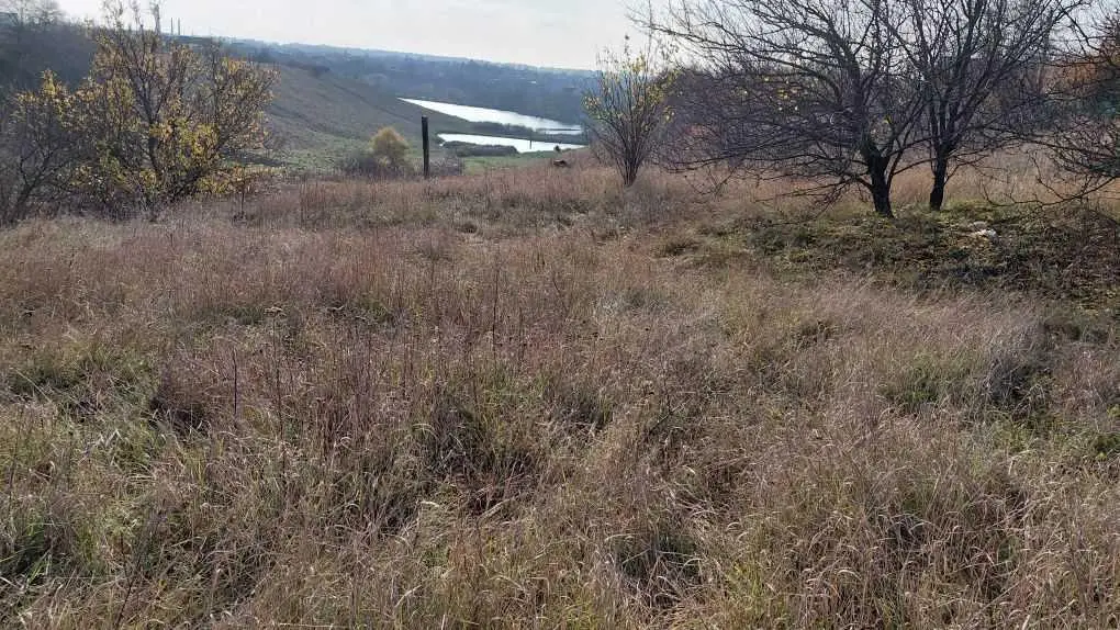 Земельна ділянка в Гожулах!  | Приват житло