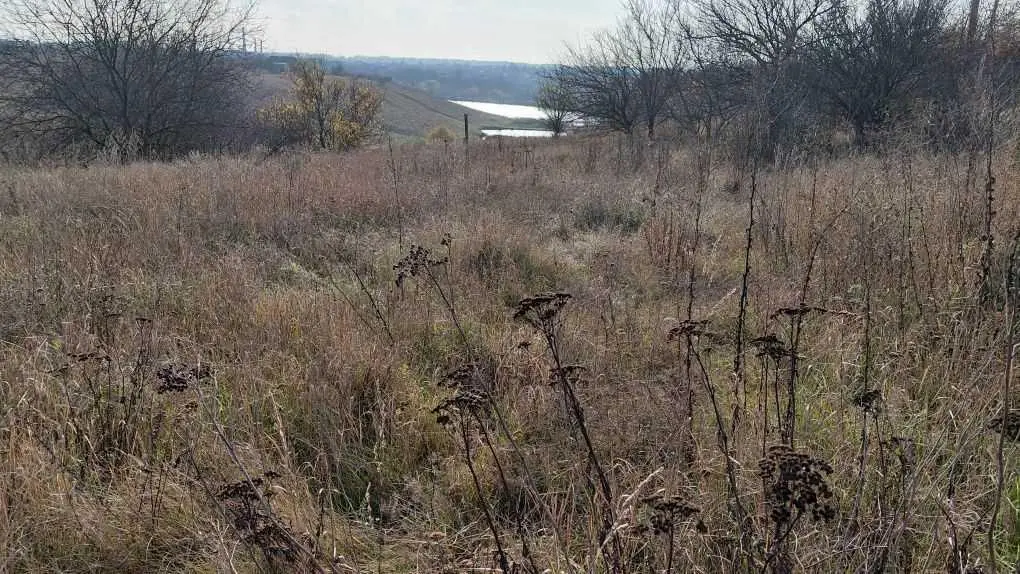 Земельна ділянка в Гожулах!  | Приват житло