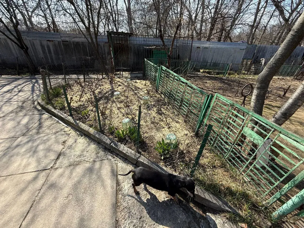 Окремий будинок з ремонтом на Монастирскій Горі | Приват житло