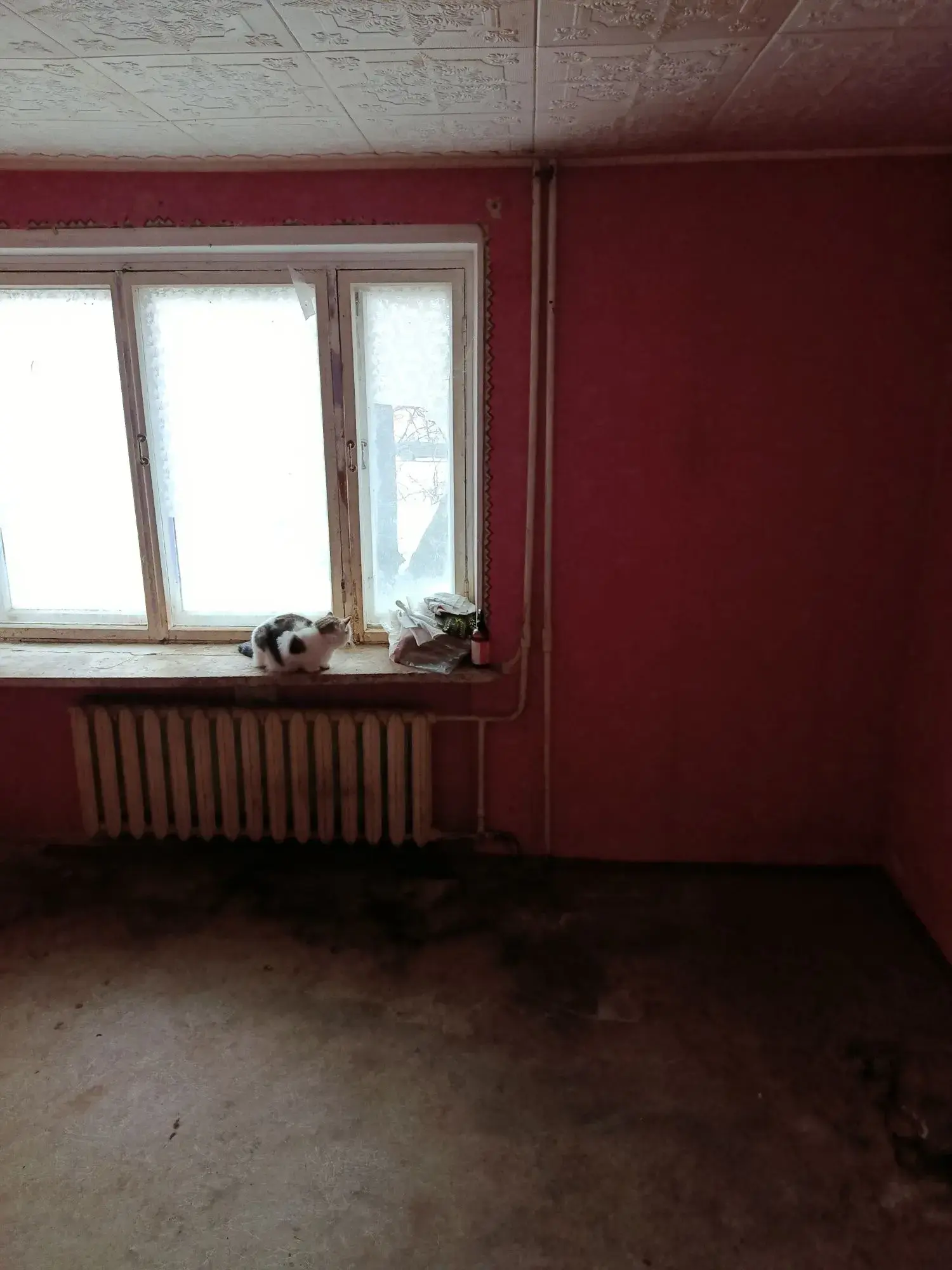 Найдешевша однокімнатна на першому поверсі | Приват житло