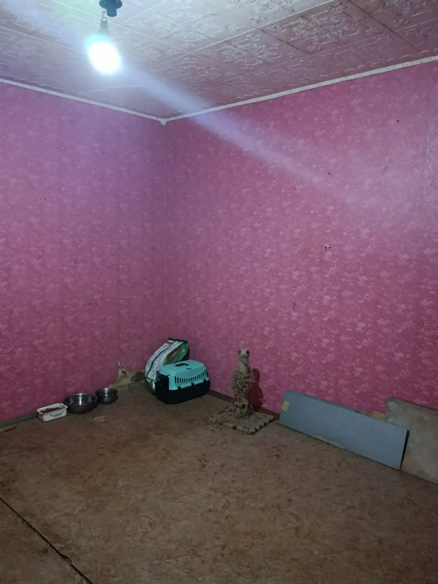 Найдешевша однокімнатна на першому поверсі | Приват житло