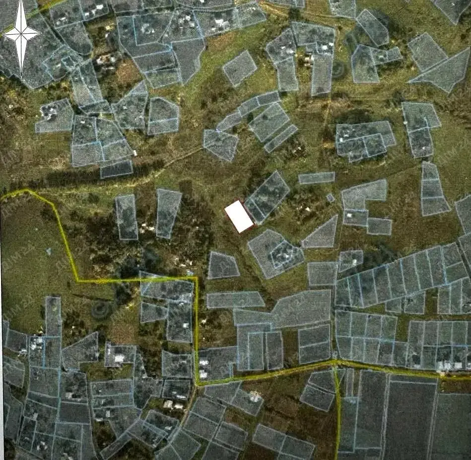 Земельна ділянка в Гожулах з власним джерелом  | Приват житло