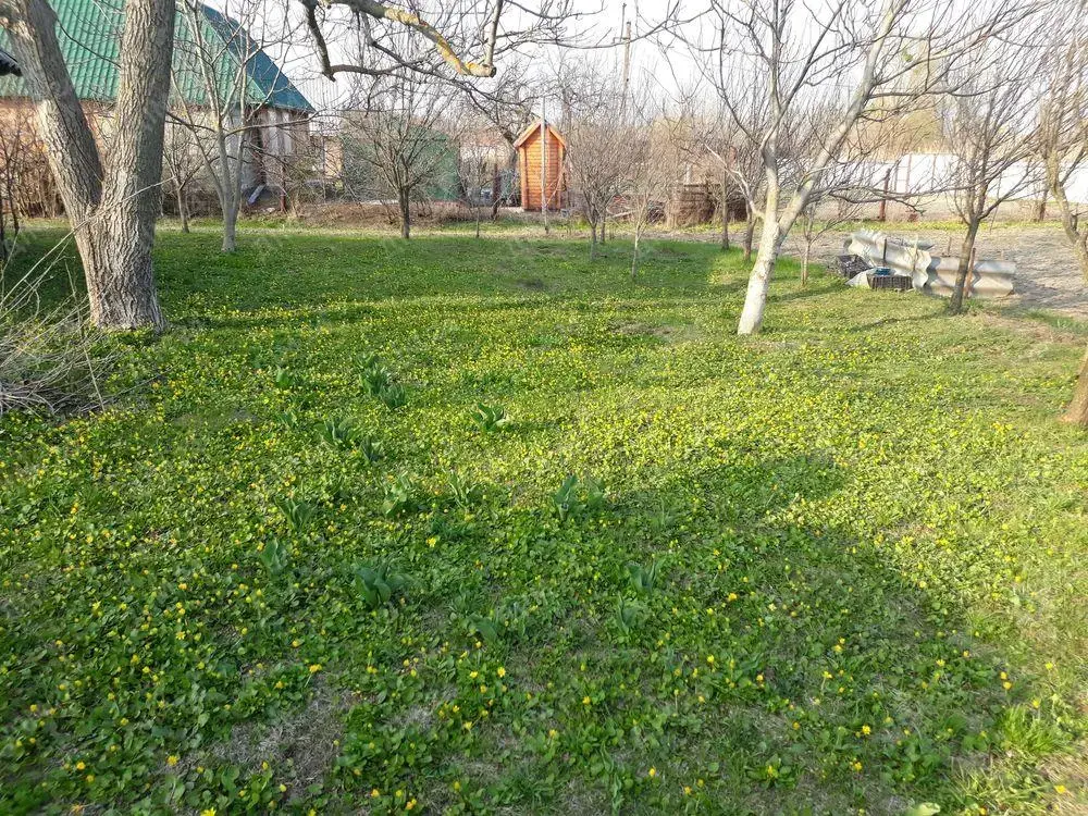 Земельна ділянка в Патлаївці | Приват житло