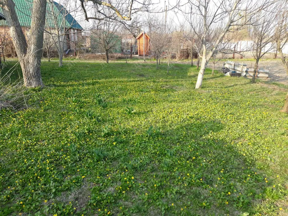 Земельна ділянка в Патлаївці | Приват житло