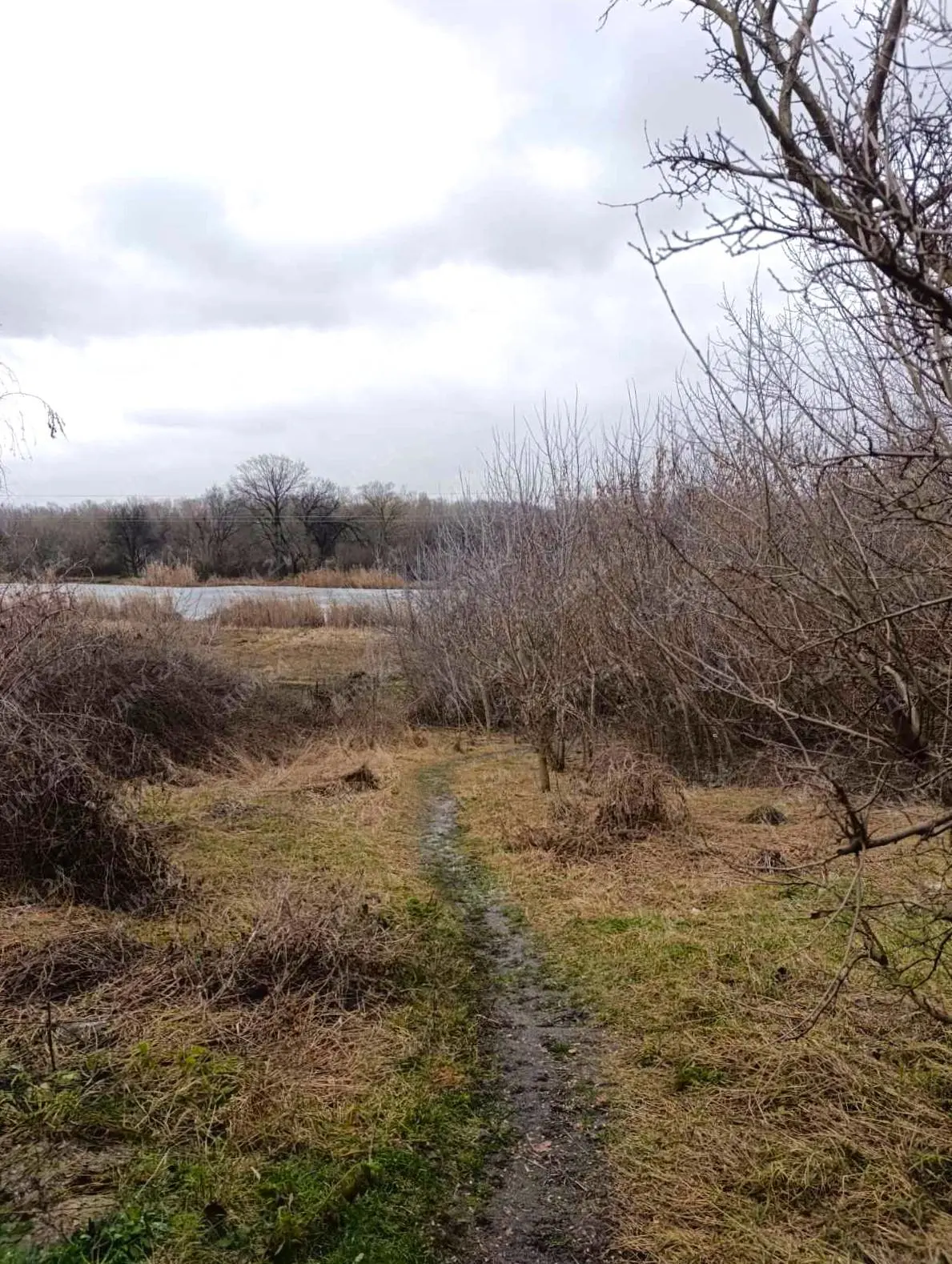 Ділянка з виходом до річки в Решетилівці | Приват житло