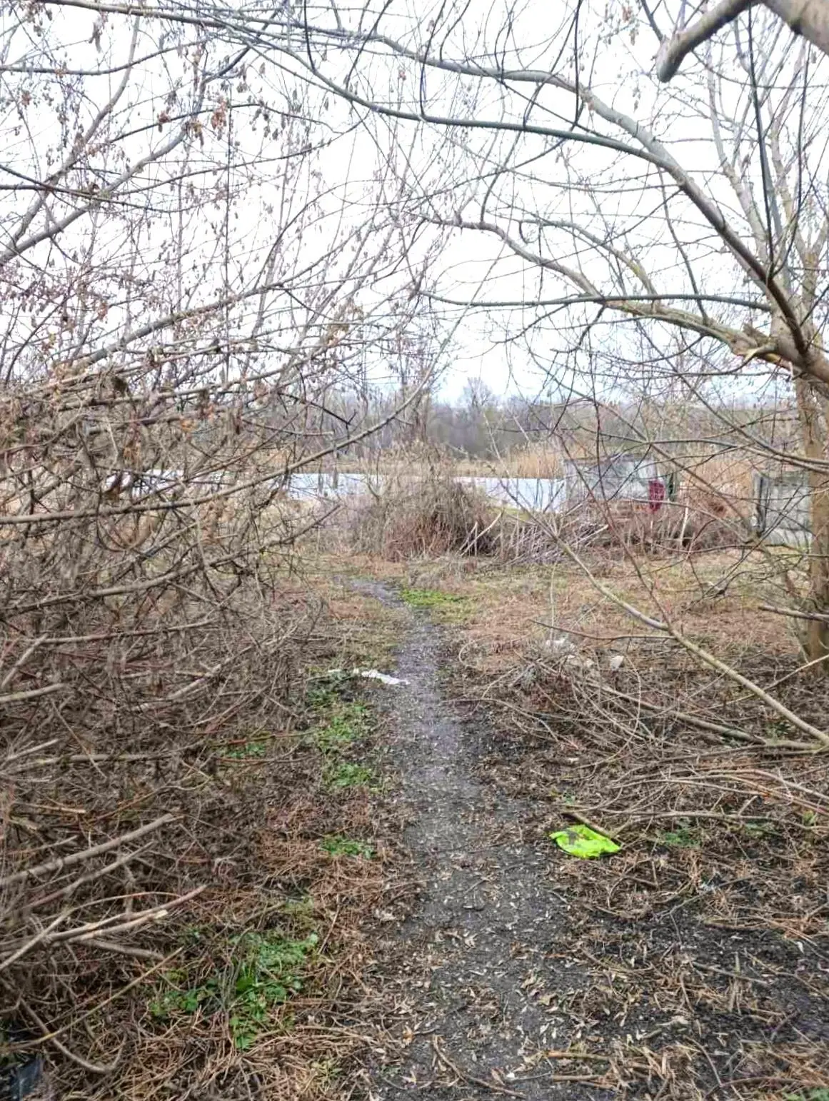 Ділянка з виходом до річки в Решетилівці | Приват житло