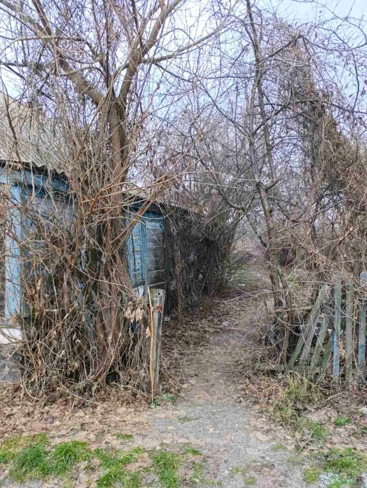 Ділянка з виходом до річки в Решетилівці | Приват житло