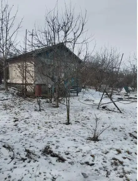 Мила дача у Сім