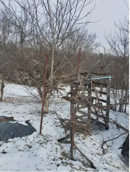 Мила дача у Сім