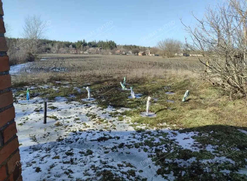 Полтавський район, Будинок - Продаж, Центральна,  | Приват житло