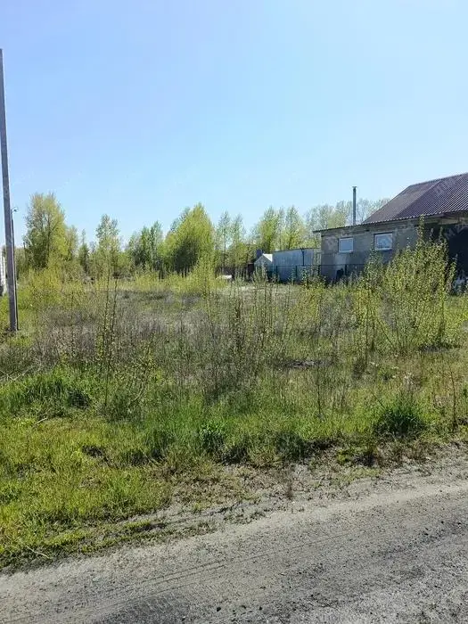 Гарна земельна ділянка в Ліску | Приват житло