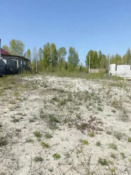 Гарна земельна ділянка в Ліску | Приват житло
