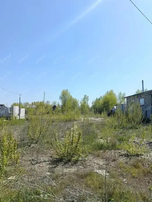 Гарна земельна ділянка в Ліску | Приват житло