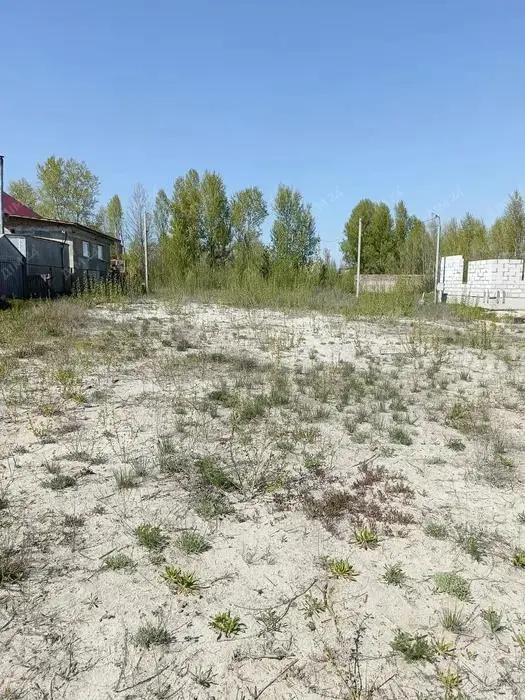 Гарна земельна ділянка в Ліску | Приват житло