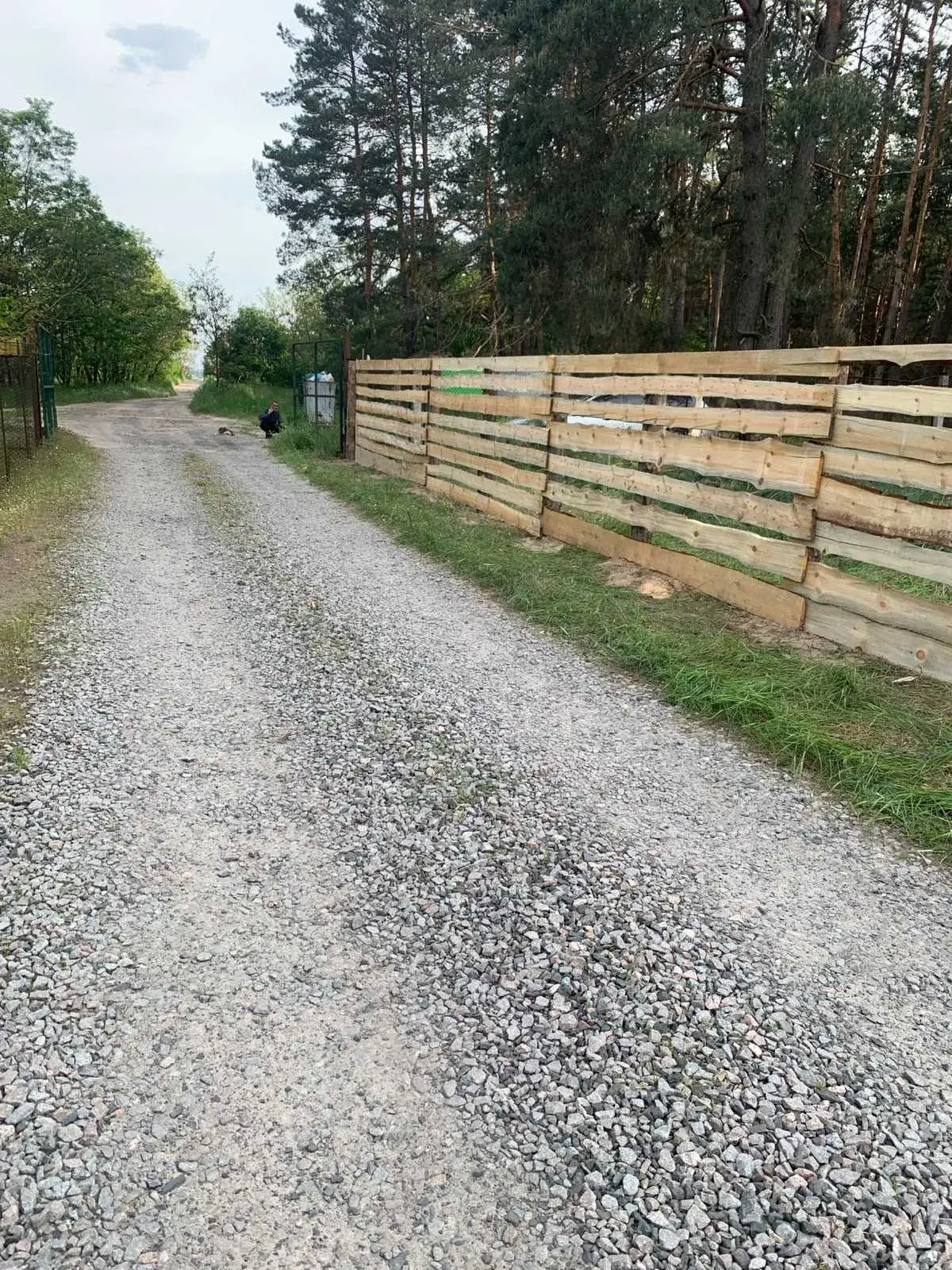 Земельна ділянка 12 соток біля річки та лісу, Коломацьке | Приват житло