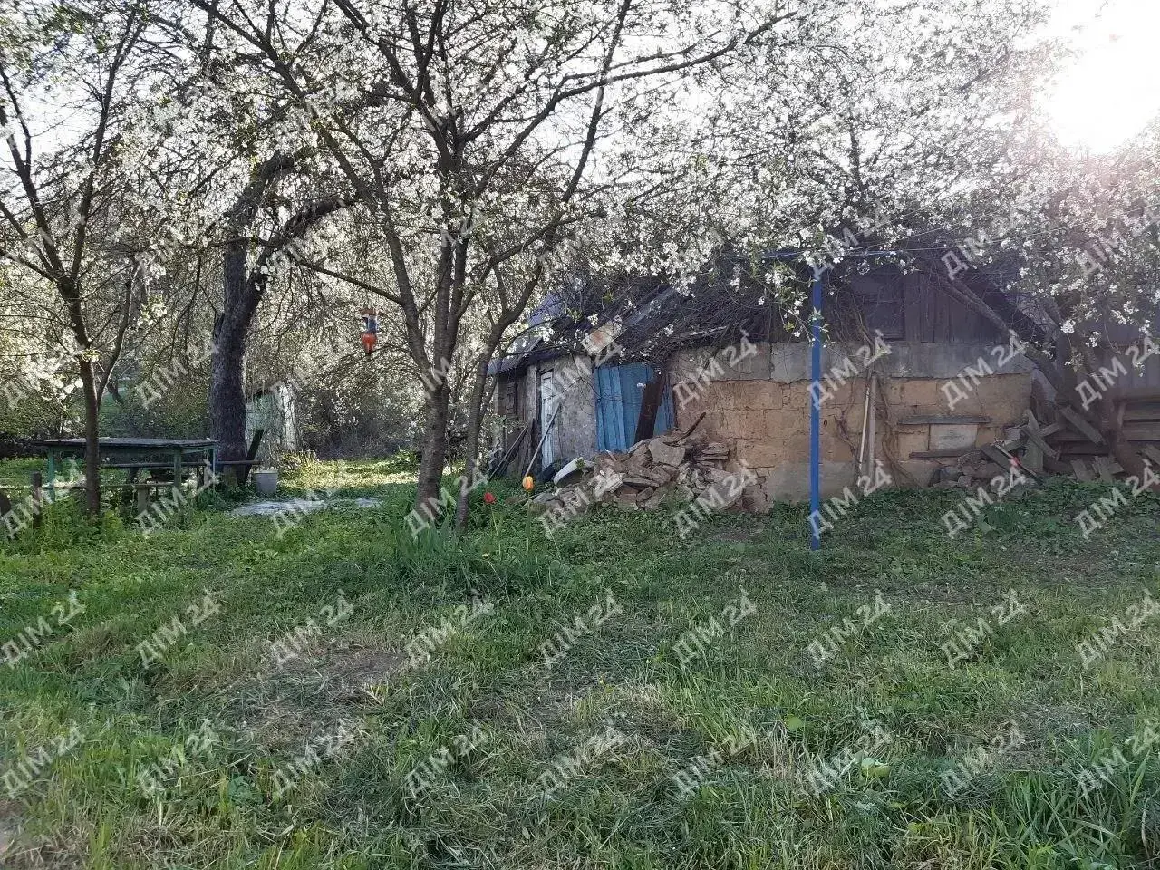Власне подвір`я на Леваді | Приват житло