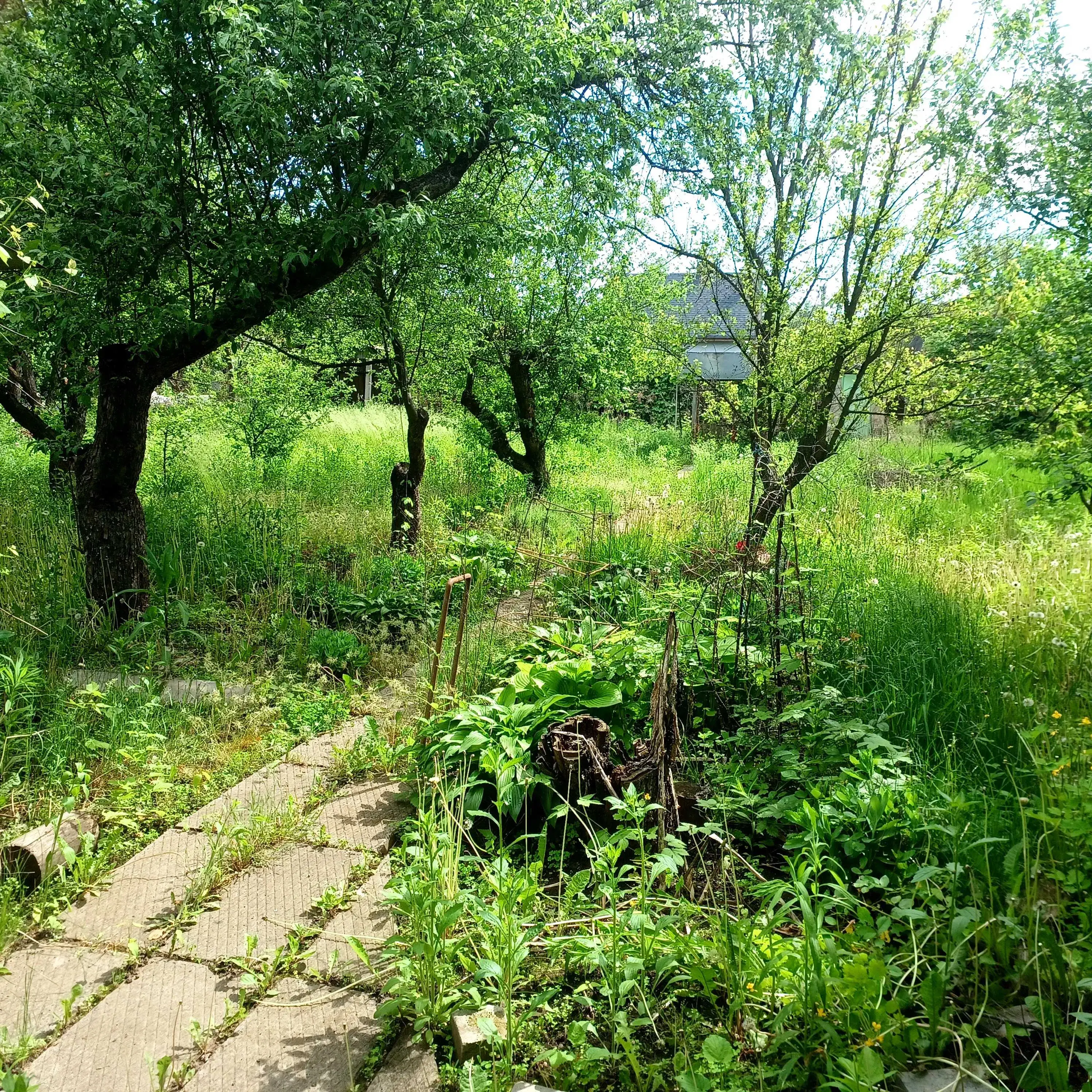 Продається дачна ділянка на Вороніна | Приват житло