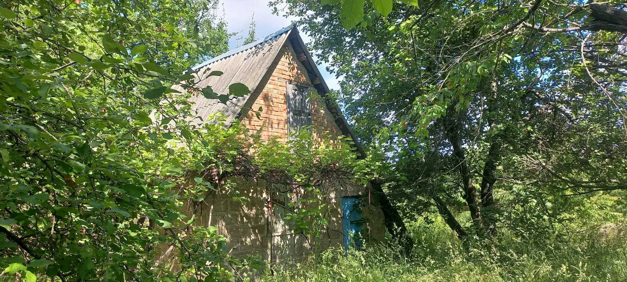 Бюджетна дачна ділянка | Приват житло