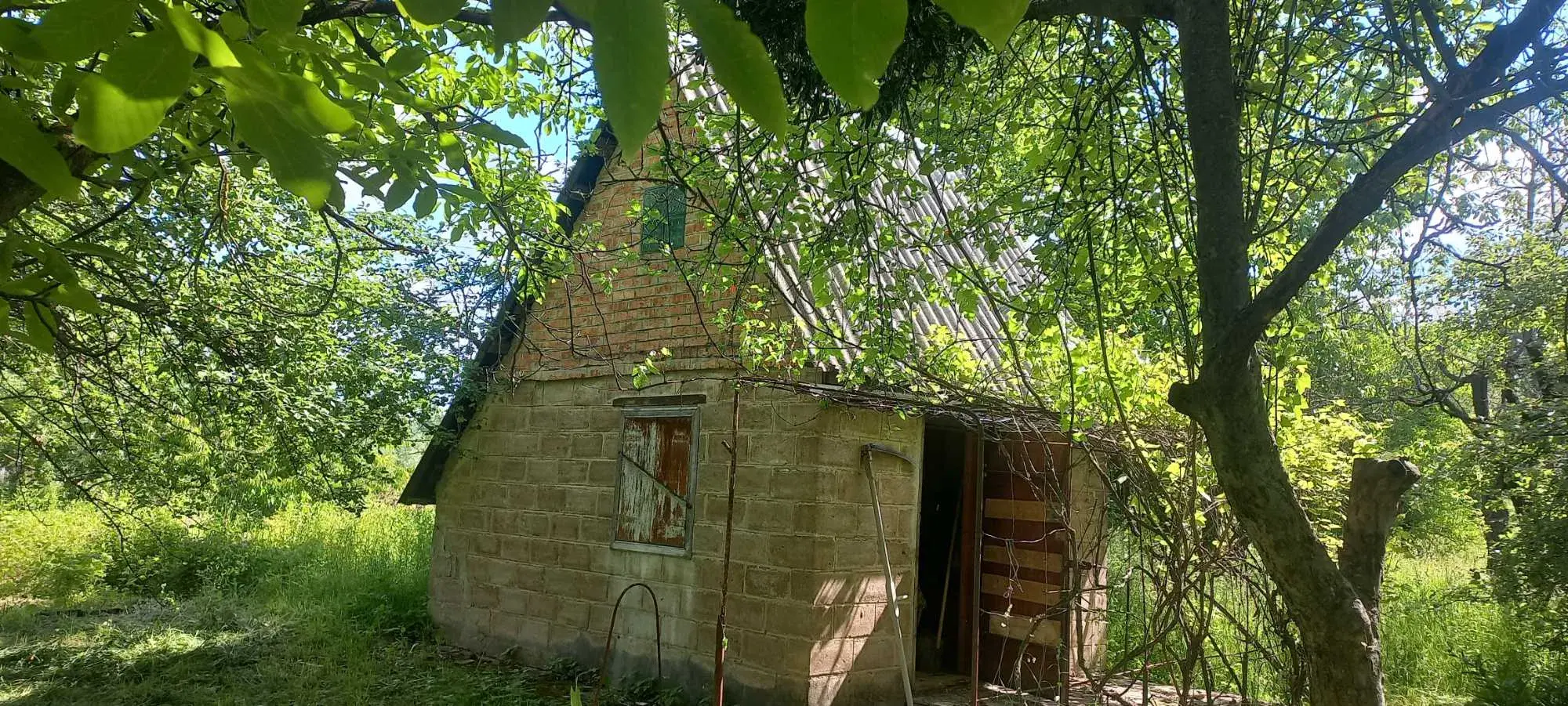 Бюджетна дачна ділянка | Приват житло