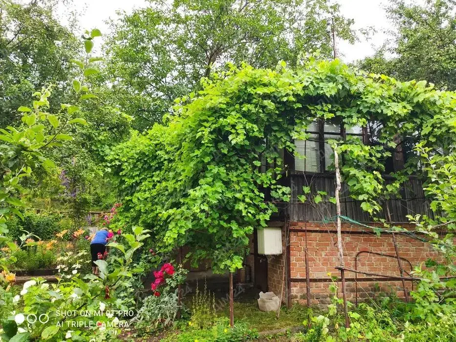Бюджетний дачний будинок в селі Гавронці | Приват житло