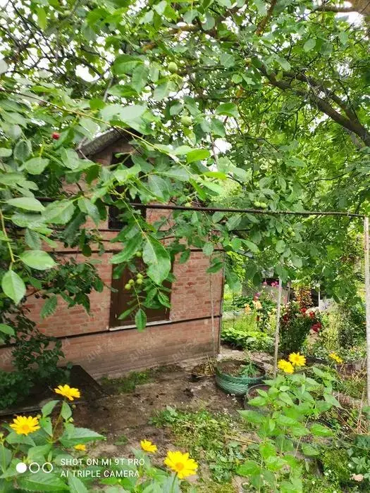 Бюджетний дачний будинок в селі Гавронці | Приват житло