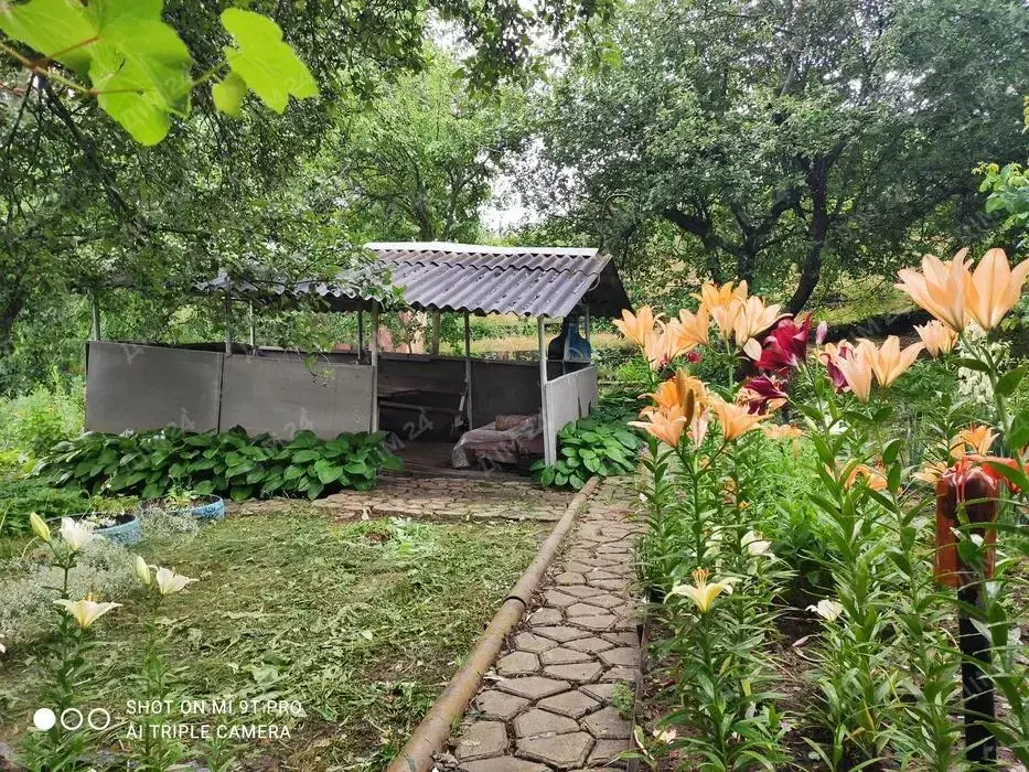 Бюджетний дачний будинок в селі Гавронці | Приват житло
