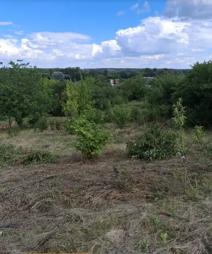 Продається ділянка у мальовничому місці під садівництво | Приват житло