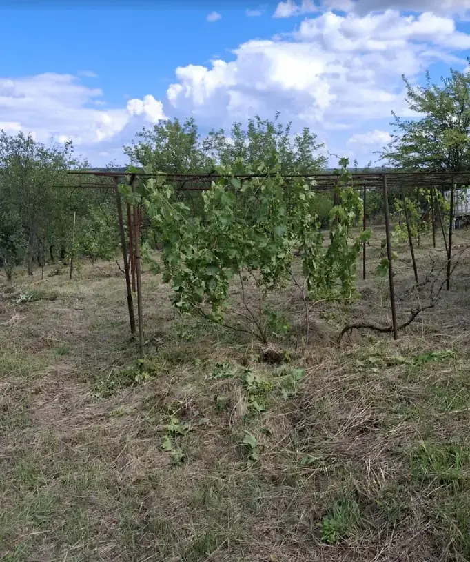 Продається ділянка у мальовничому місці під садівництво | Приват житло