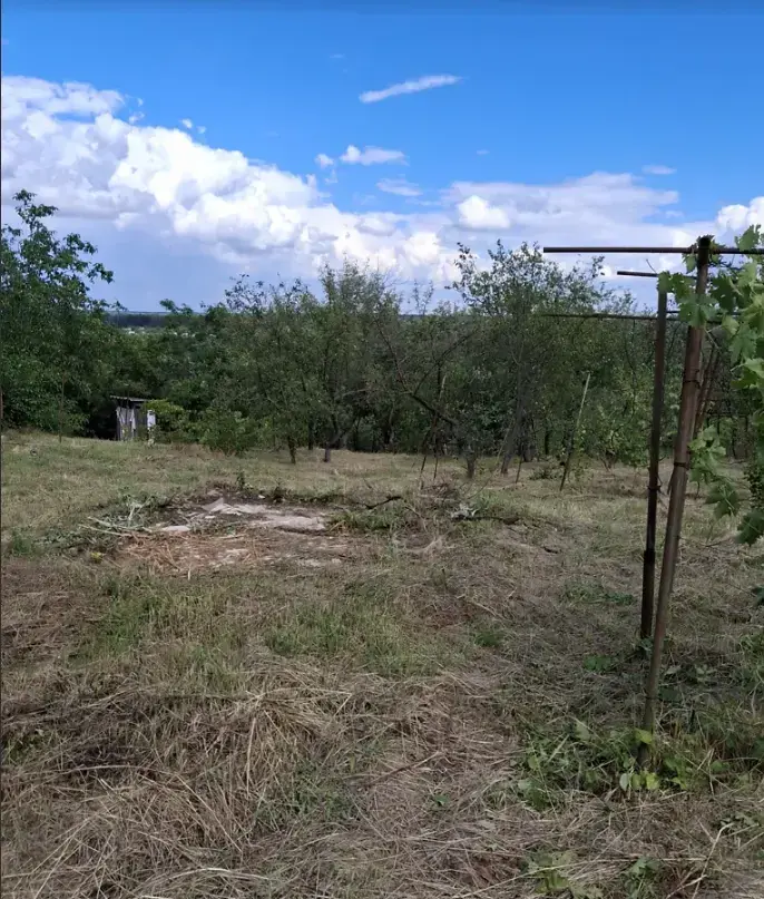 Продається ділянка у мальовничому місці під садівництво | Приват житло
