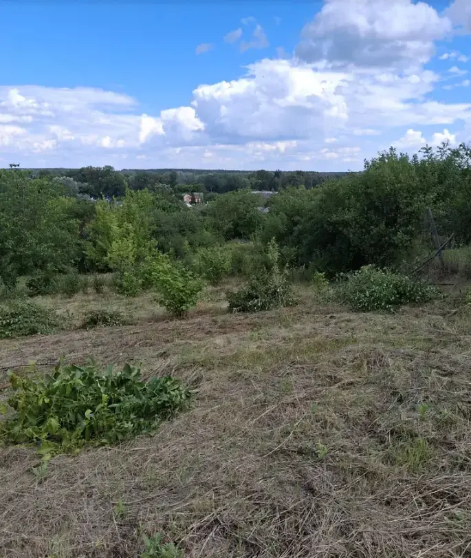 Продається ділянка у мальовничому місці під садівництво | Приват житло