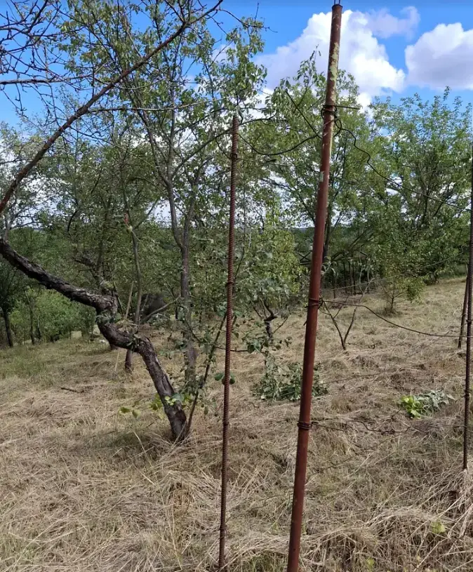 Продається ділянка у мальовничому місці під садівництво | Приват житло