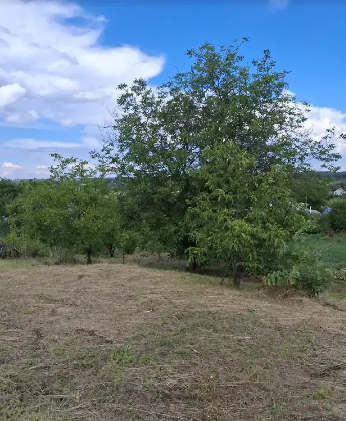 Продається ділянка у мальовничому місці під садівництво | Приват житло
