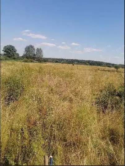 Ділянка в с.Зінці | Приват житло