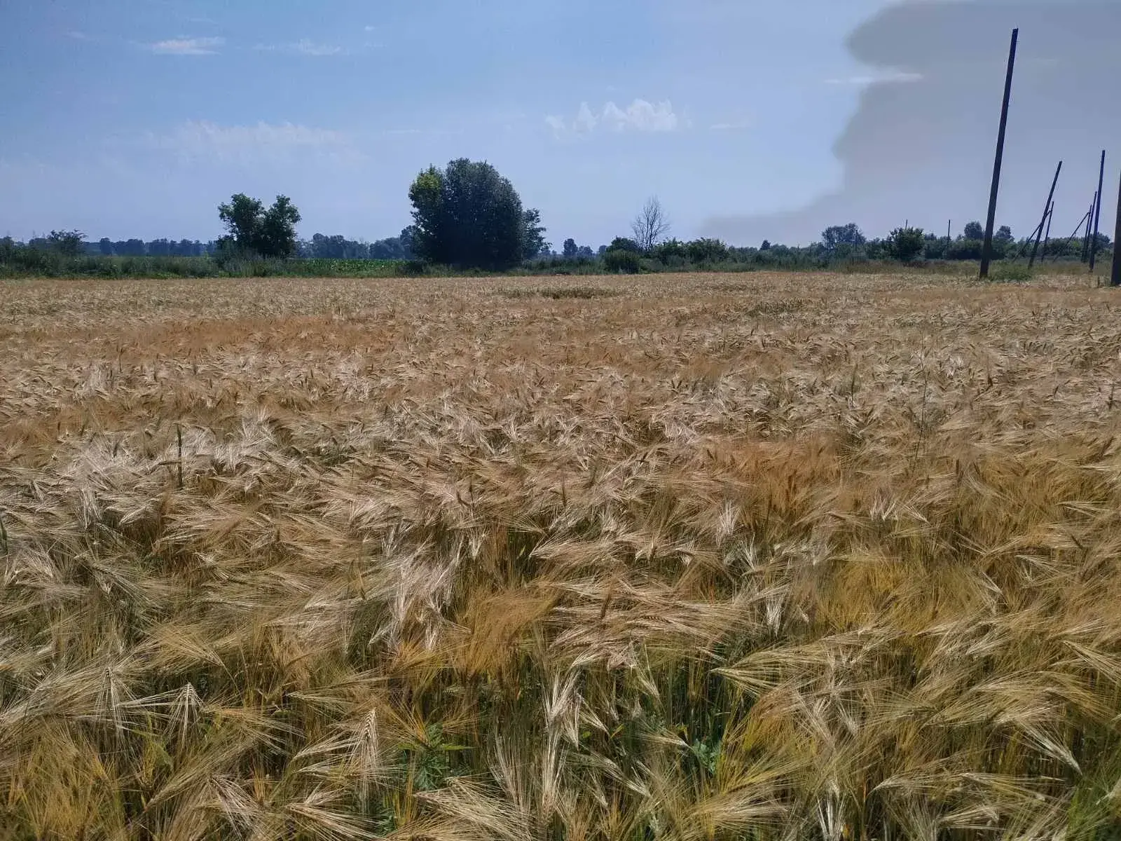 Ділянка під забудову 7км від Полтави | Приват житло